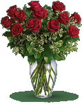 Rose Elegence Red Long Stem 