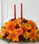 Bright Autumn
