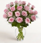 Rose Elegance Pink