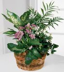 French Garden Basket