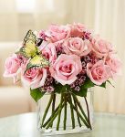 Modern Roses