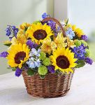 Fields of Europe Summer Basket