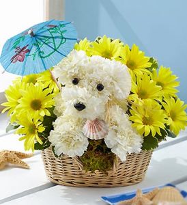 flower flowers dog arrangements doggie floral arrangement puppy animal paddle cute carnation summer bouquet 1800flowers send birthday dogs able delivery